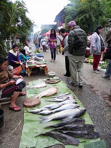 s-20111219 laos (13).jpg
